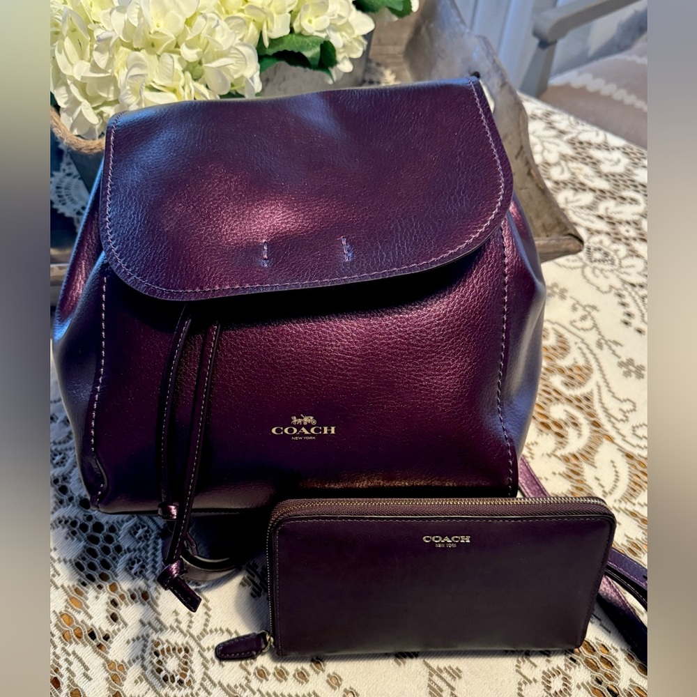 Coach Backpack/Wallet/Key Charms Bundle